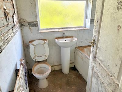 Picture 5